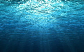 Underwater High Definition Wallpaper 119219