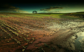 Muddy Field Nature Desktop Wallpaper 116279