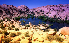 Joshua Tree National Park Background Wallpapers 114487