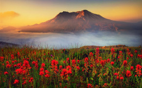 Mount St. Helens Photography HD Desktop Wallpaper 115899