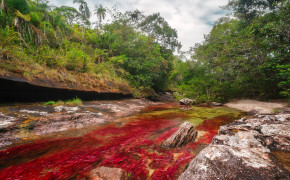 Caño Cristales Nature High Definition Wallpaper 118197