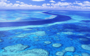 Great Barrier Reef Aquatic Life HD Desktop Wallpaper 114070