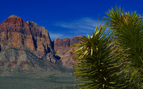 Red Rock Canyon High Definition Wallpaper 118241