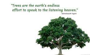 Listening Heaven Quotes Wallpaper 10739