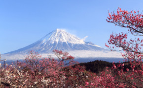 Mount Fuji Lake Kawaguchiko Japan Desktop Wallpaper 116040