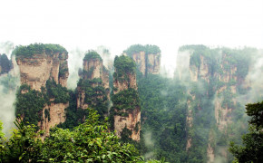 Zhangjiajie National Park Forest Background Wallpapers 119713