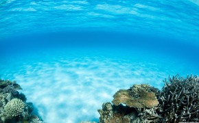 Underwater Nature Desktop Wallpaper 119230