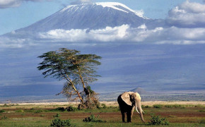 Mount Kilimanjaro Desktop Wallpaper 116100