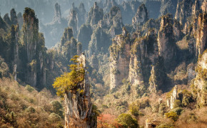 Zhangjiajie National Park Forest HD Wallpapers 119719