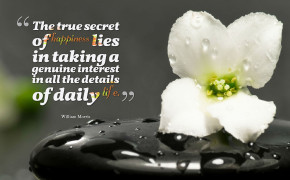 True Secret of Happiness Quotes Wallpaper 10913