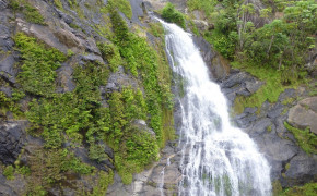 Kuranda Rainforest Waterfall Best Wallpaper 114575