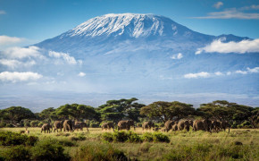 Mount Kilimanjaro Nature HD Desktop Wallpaper 116119