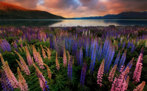 Lake Tekapo New Zealand HD Desktop Wallpaper 115431