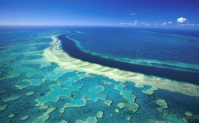 Great Barrier Reef Aquatic Life Desktop Wallpaper 114069