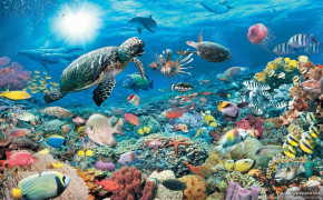 Underwater Beautiful Background Wallpaper 119222