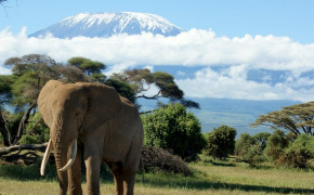 Mount Kilimanjaro Nature Widescreen Wallpapers 116121