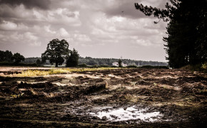 Muddy Field Nature Widescreen Wallpapers 116282