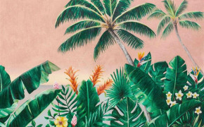 Palm Tree Nature HD Desktop Wallpaper 116549