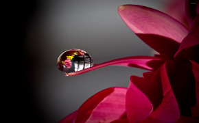 Water Drop Photography Widescreen Wallpapers 119431