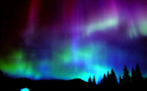 Aurora Borealis Canadian Forest Background Wallpaper 117332
