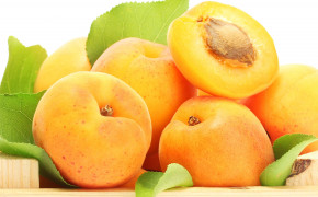 Apricot Tree Best Wallpaper 117223