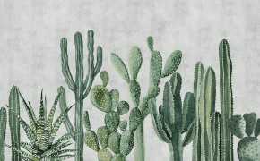 Cactus Miscellaneous Desktop Wallpaper 117974