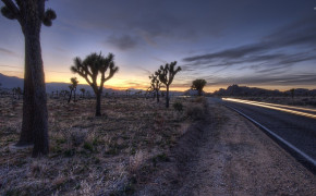 Joshua Tree National Park Nature Background HD Wallpapers 114502