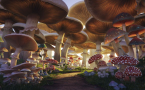 Mushroom Widescreen Wallpapers 116329