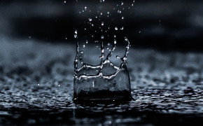 Water Drop Photography Wallpaper 119430