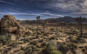 Joshua Tree National Park Background HD Wallpapers 114485