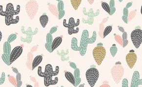 Cactus Miscellaneous HD Wallpapers 117977
