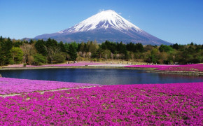 Mount Fuji Best Wallpaper 116029