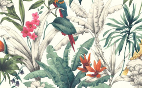 Bird of Paradise Botanical Painting Wallpaper HD 117650