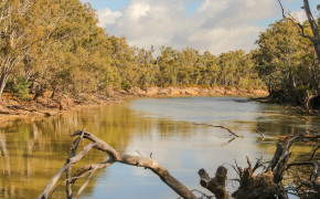 Murray River Nature High Definition Wallpaper 116307