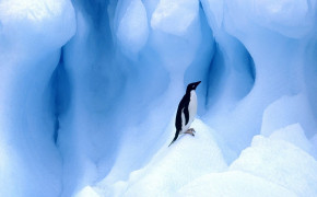 Icefloe Freezing Sea Water HD Desktop Wallpaper 114412