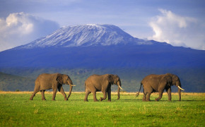 Mount Kilimanjaro Africa High Definition Wallpaper 116113