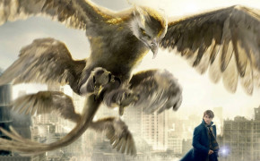 Fantastic Beasts And Where To Find Them Eagle Wallpaper 11506