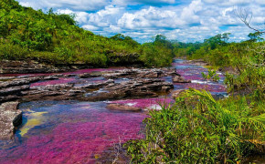 Caño Cristales Colombia Widescreen Wallpapers 118190