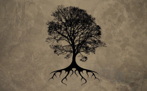 Tree Root HD Wallpaper 119031