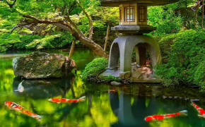 Zen Garden Background Wallpaper 119688