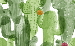 Cactus Miscellaneous High Definition Wallpaper 117978