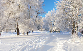 Winter Photography High Definition Wallpaper 119577