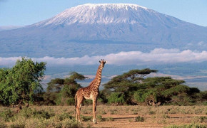 Mount Kilimanjaro Nature Wallpaper 116120