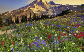Mount Rainier HD Wallpapers 116172