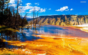 Yellowstone National Park Widescreen Wallpapers 119655