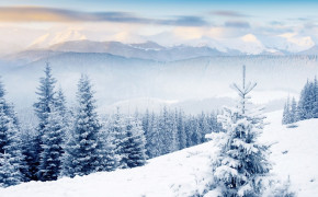 Winter Photography Desktop Wallpaper 119575