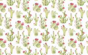 Cactus Miscellaneous HD Wallpaper 117976