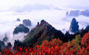Zhangjiajie National Park Forest Desktop Wallpaper 119716