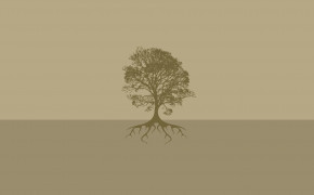 Tree Root Desktop Wallpaper 119029
