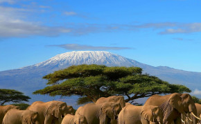 Mount Kilimanjaro Nature Best Wallpaper 116117